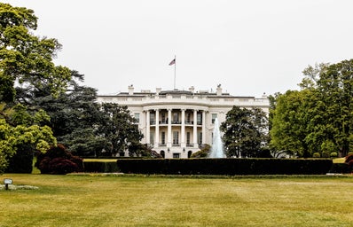 The White House Lawn and Flag