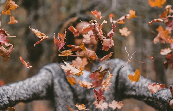 throwing fall leaves by Jakob Owens?width=719&height=464&fit=crop&auto=webp