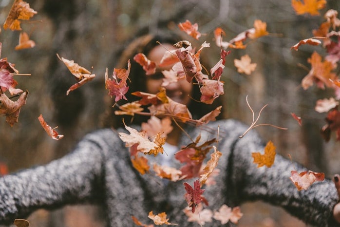 throwing fall leaves by Jakob Owens?width=698&height=466&fit=crop&auto=webp