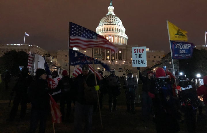 Washington DC capitol building trump protest