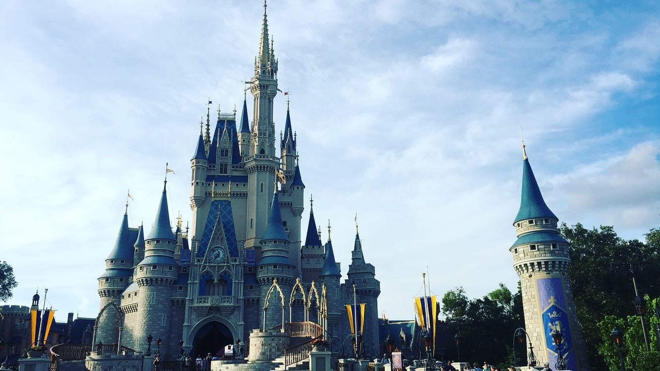 Disney world castle
