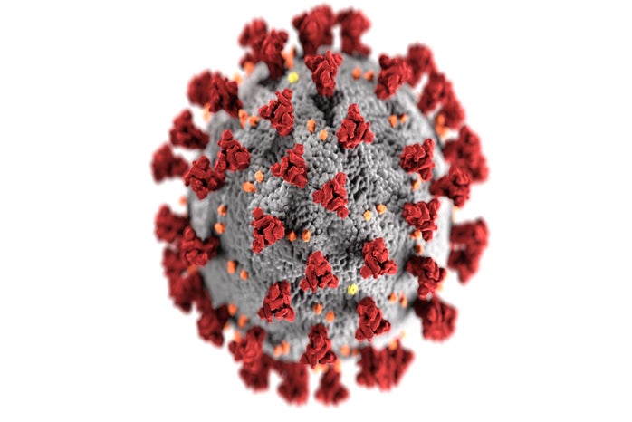 microscopic image of the coronavirus by CDC?width=698&height=466&fit=crop&auto=webp