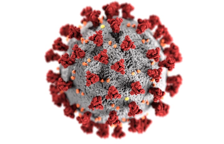 microscopic image of the coronavirus by CDC?width=719&height=464&fit=crop&auto=webp