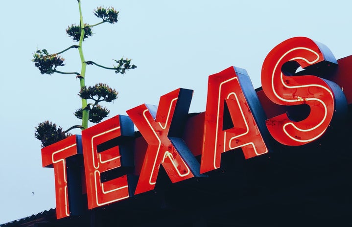 neon sign that reads \"TEXAS\"