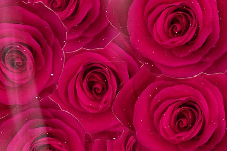 roses
