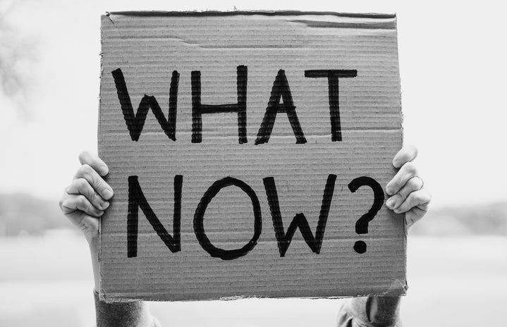 what now protest sign by Jeff Stapleton?width=719&height=464&fit=crop&auto=webp