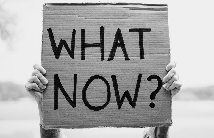 what now protest sign by Jeff Stapleton?width=719&height=464&fit=crop&auto=webp