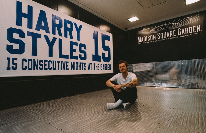 harry styles at madison square garden