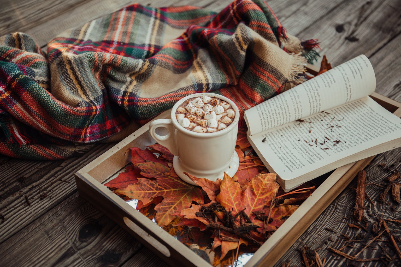 Fall, marshmallows and mug and book