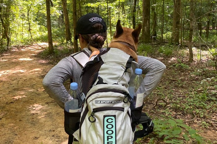 hiking club bulldog