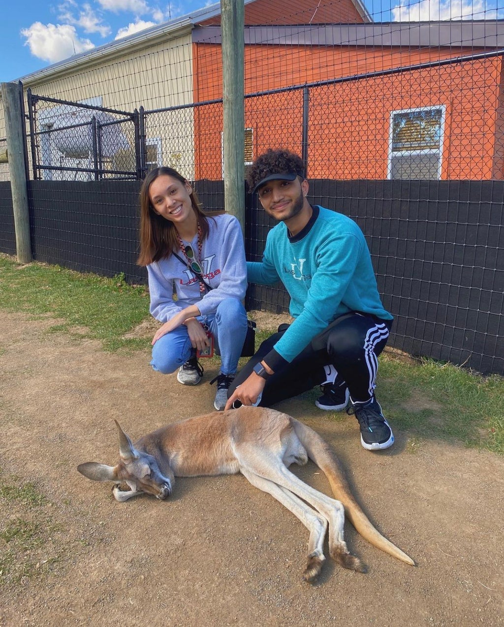 kangaroo