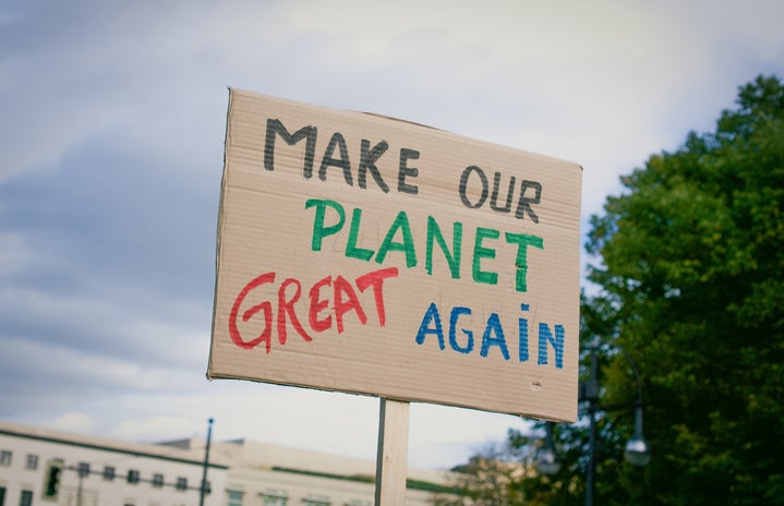 make earth great again