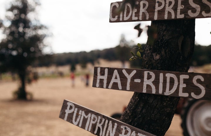 farm signs hay ride cider press pumpkin patch
