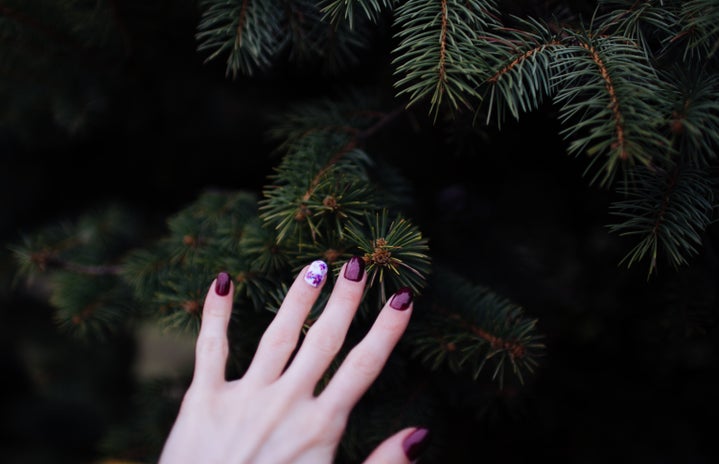 holiday manicure by Unsplash?width=719&height=464&fit=crop&auto=webp