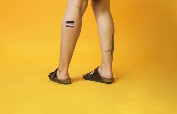 Asexual Pride Flag Painted On Leg Photo