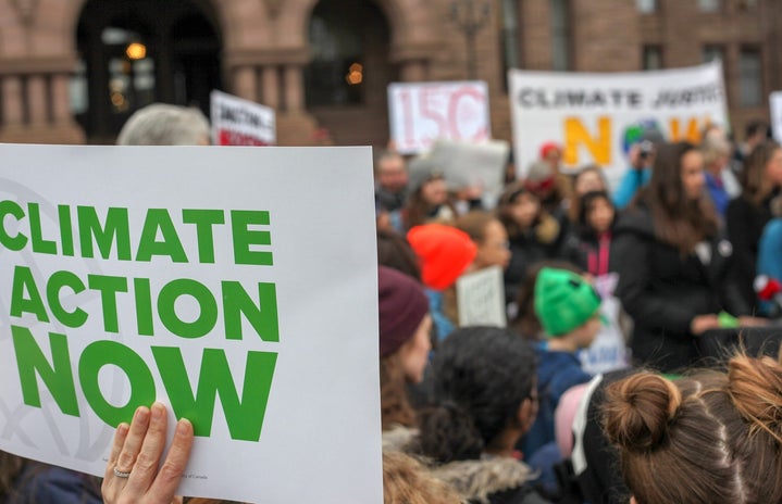 protest sign that says "climate action now" in front of a crowd