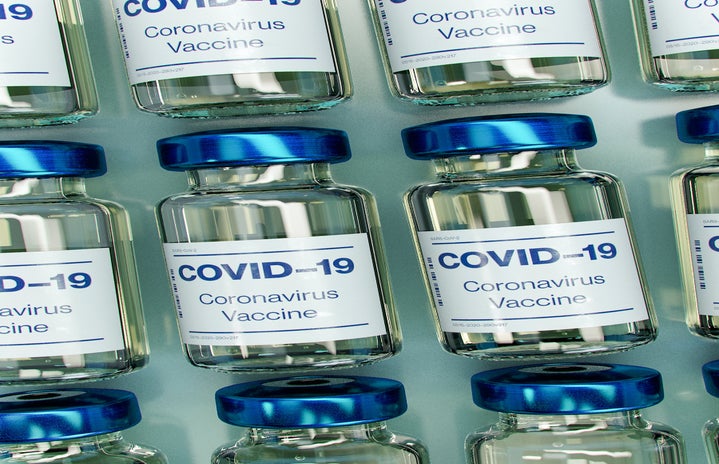 COVID Vaccine by Daniel Schludi?width=719&height=464&fit=crop&auto=webp