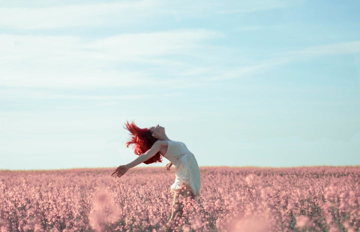 Woman in field of pink flowers free