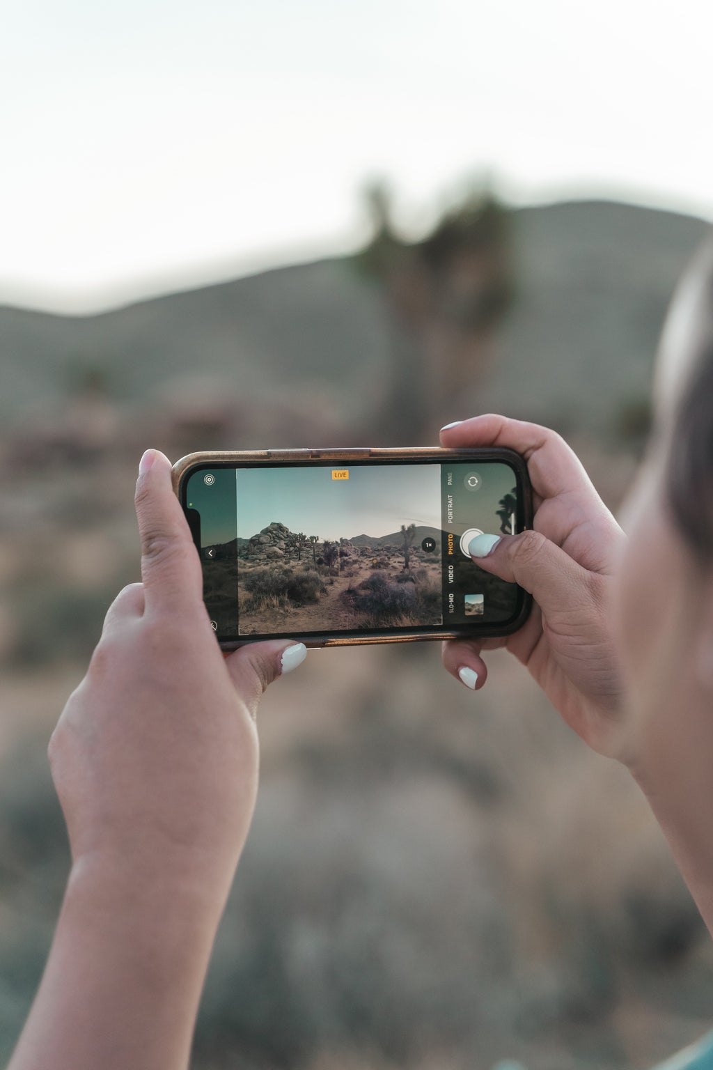 Person taking a photo of a desert