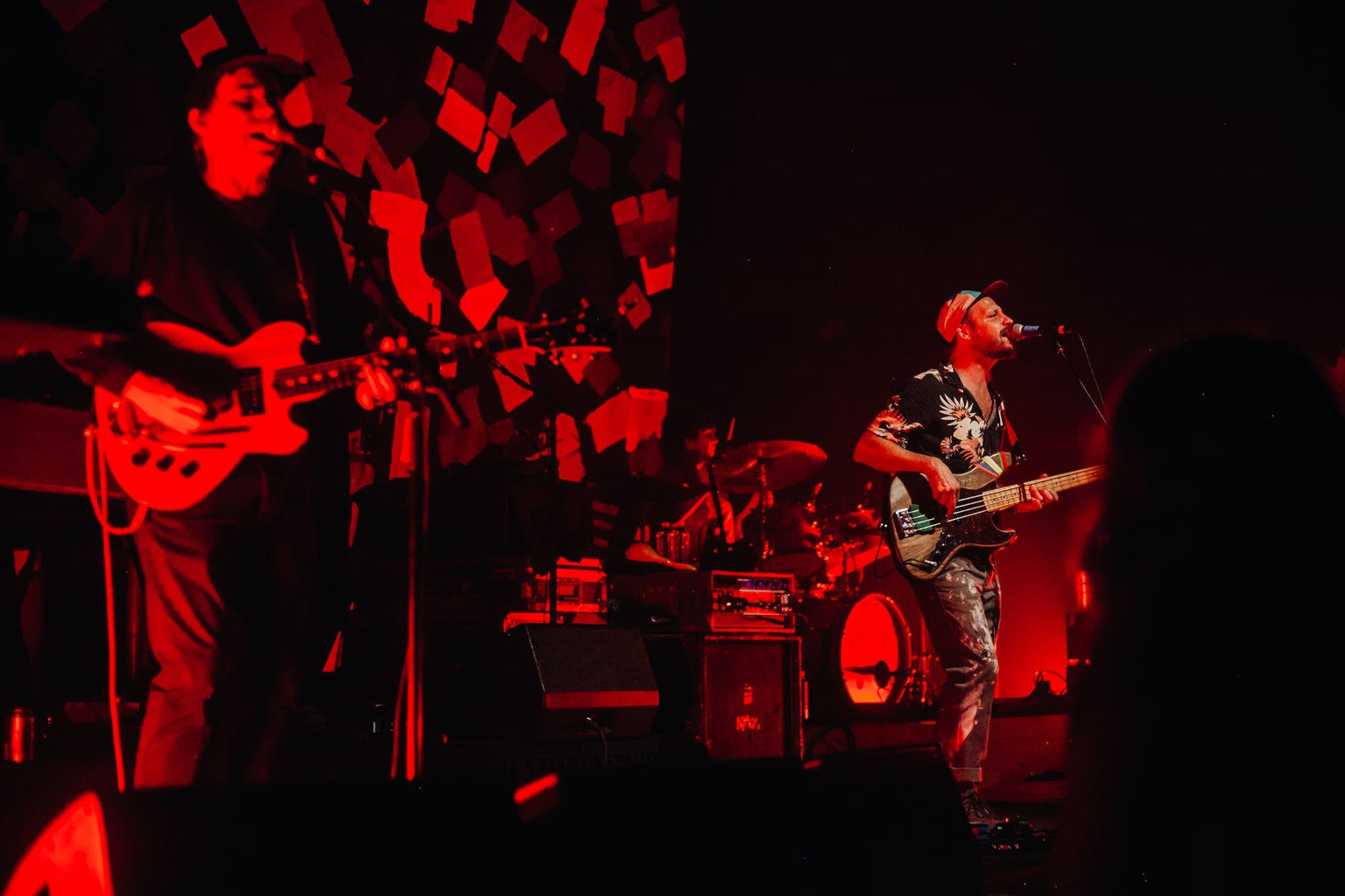 Dr. Dog\'s Last Tour