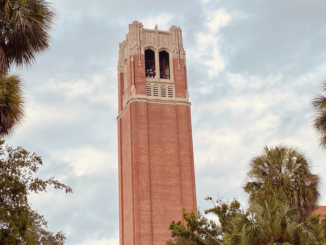 university of florida?width=1024&height=1024&fit=cover&auto=webp
