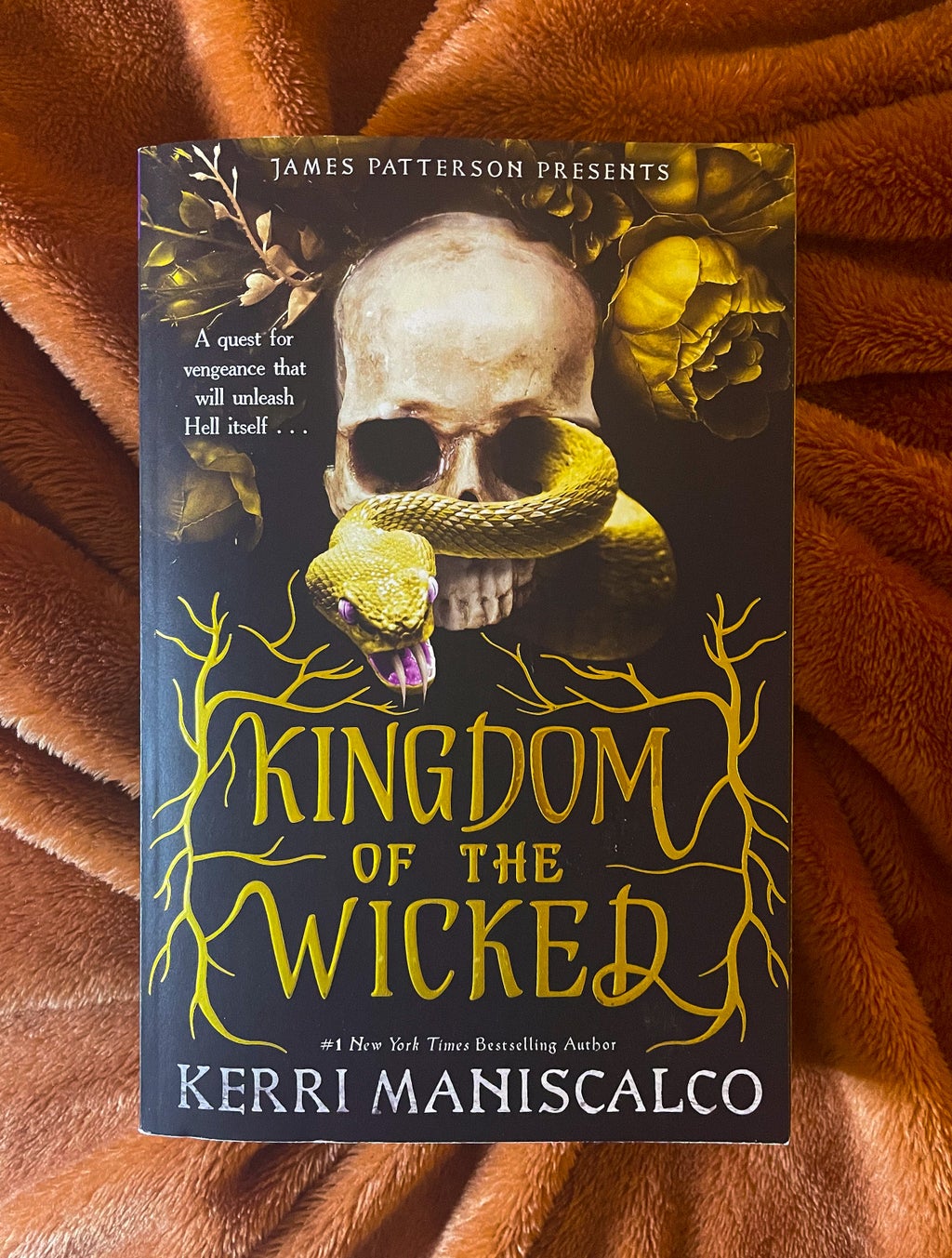 Kingdom of the Wicked by Kerri Maniscalco on orange blanket
