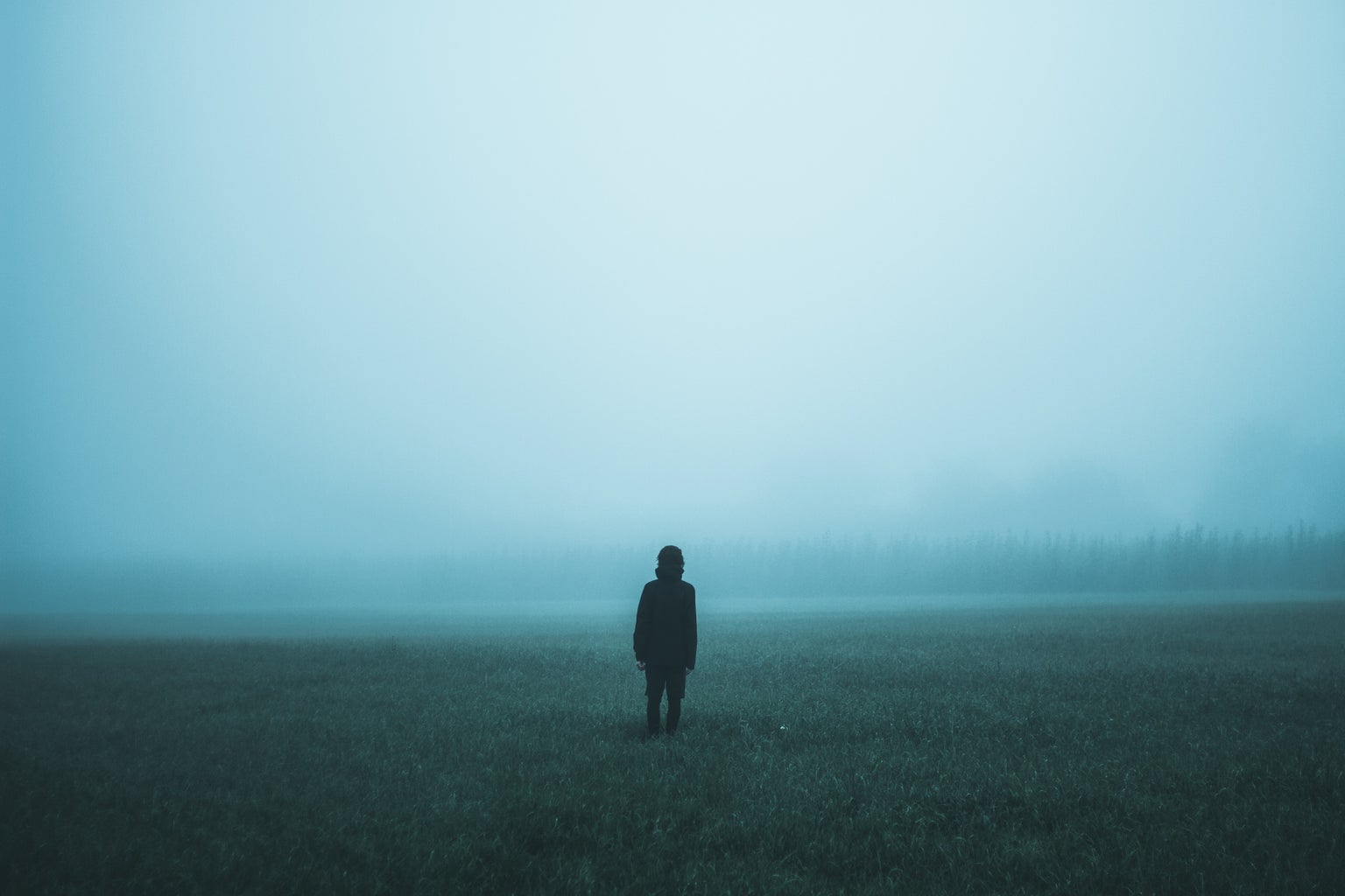 person standing in misty ground