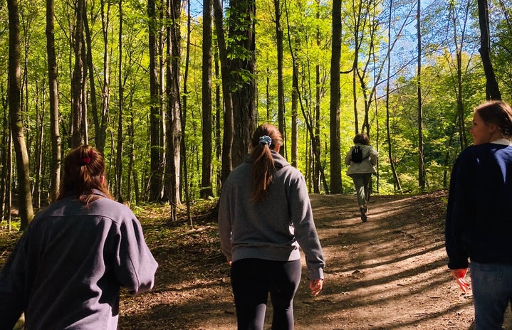 Girls hiking on trail in forest