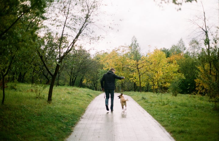 A man walking his dog in the forest