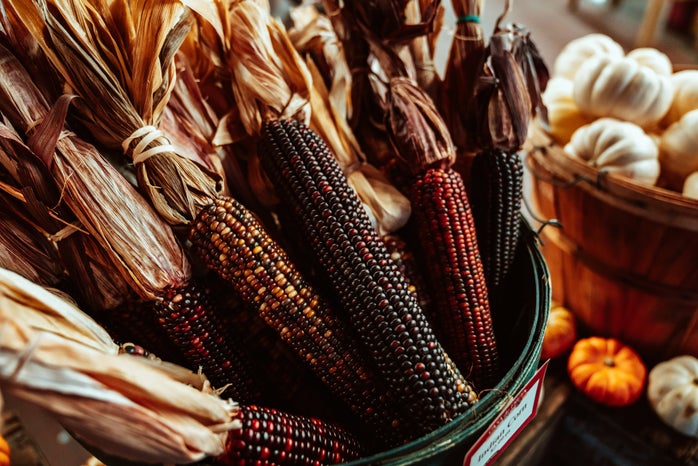 black and red corn