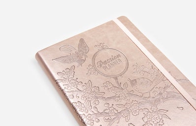 Passion Planner Rose Gold?width=398&height=256&fit=crop&auto=webp