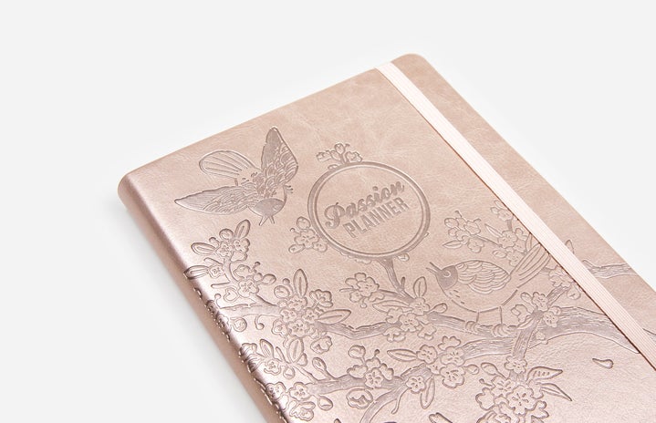 Passion Planner Rose Gold?width=719&height=464&fit=crop&auto=webp