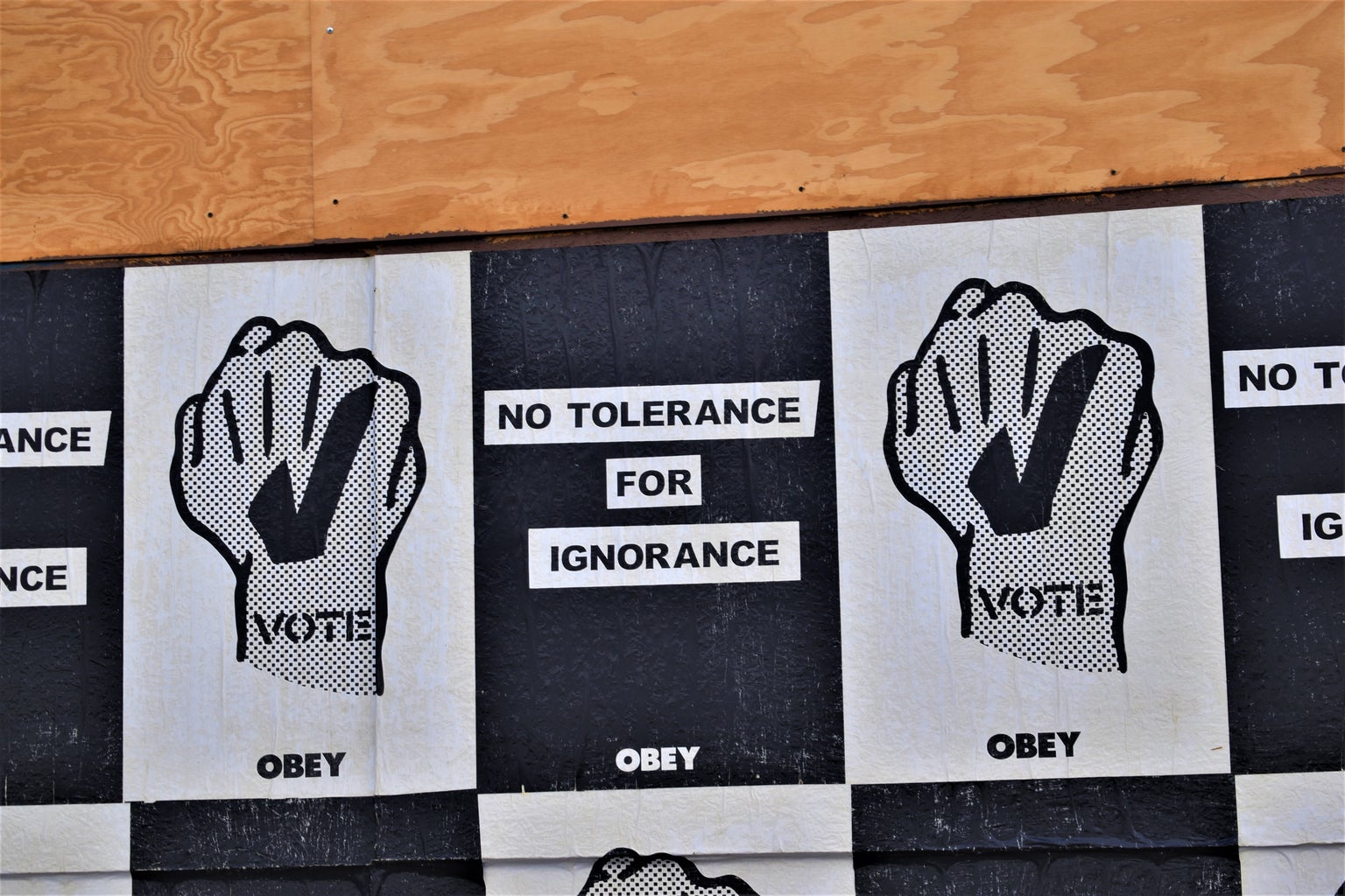 Black and white \'no tolerance for ignorance\'  and \'vote\' posters