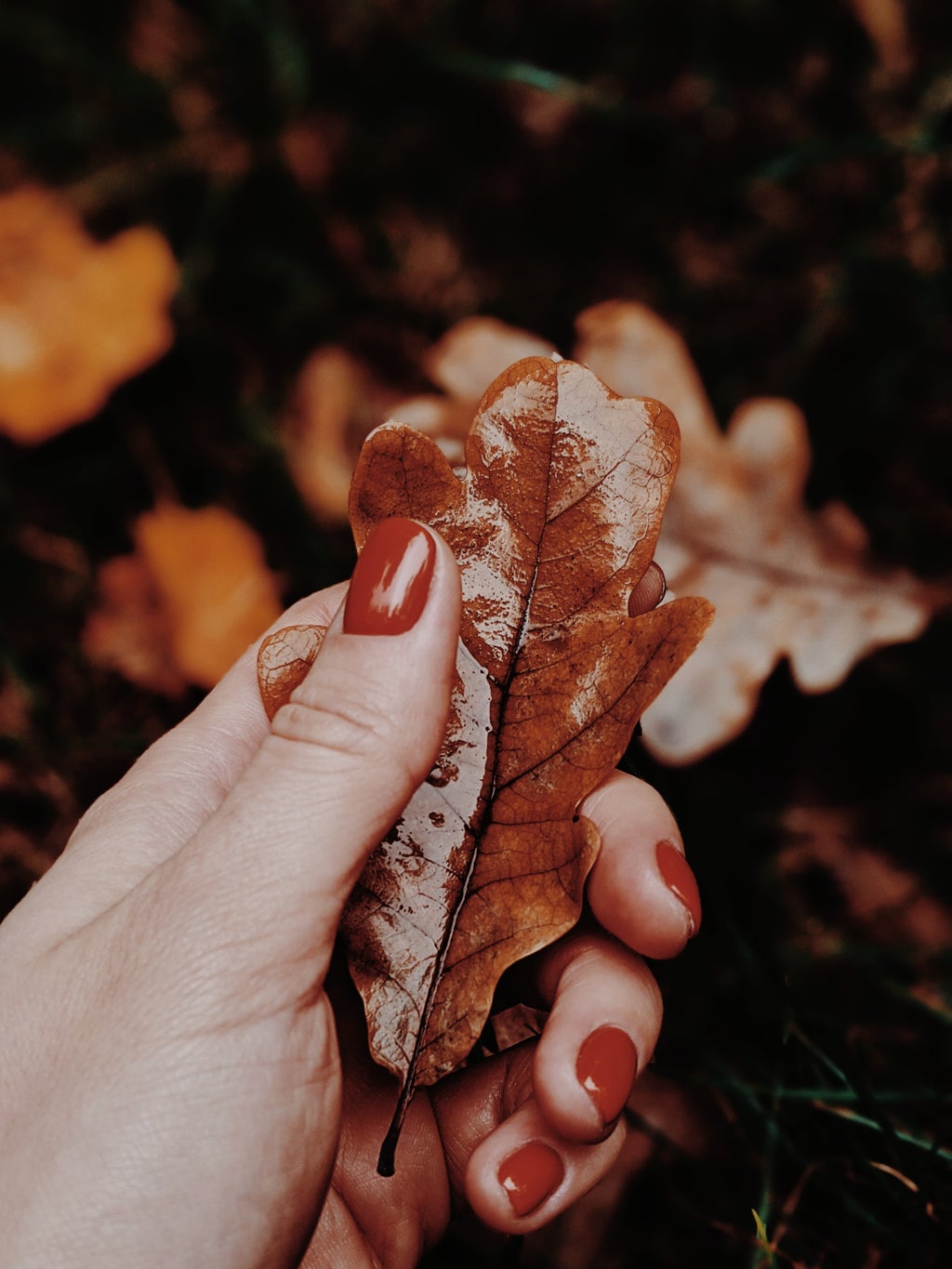 Fall leaves and orange nails