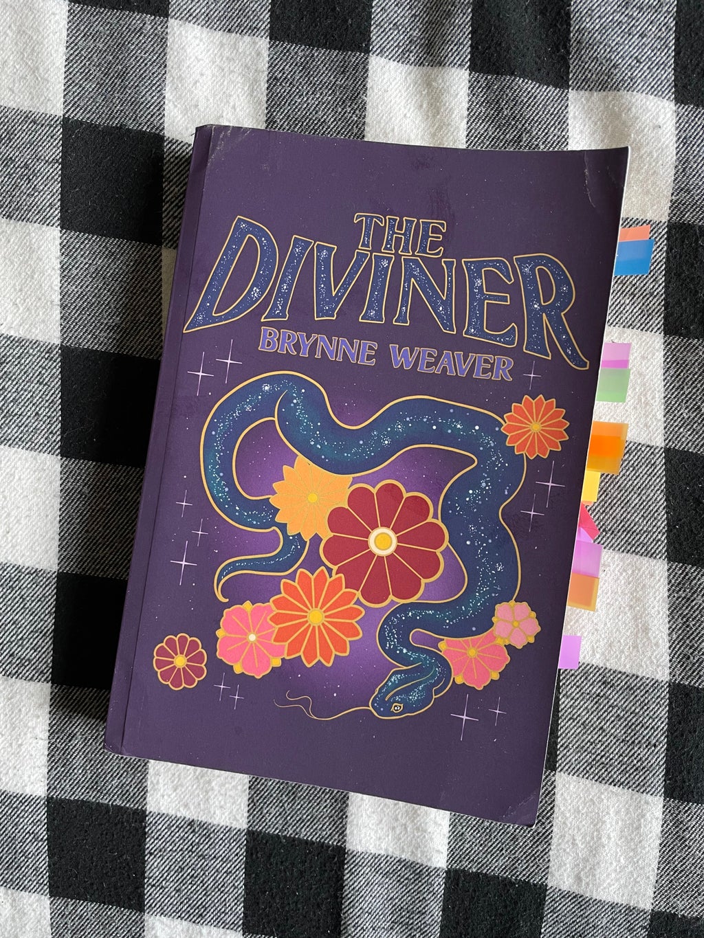The Diviner by Brynne Weaver Photo