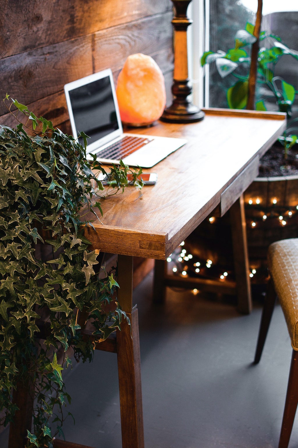 desk with plants and lamp