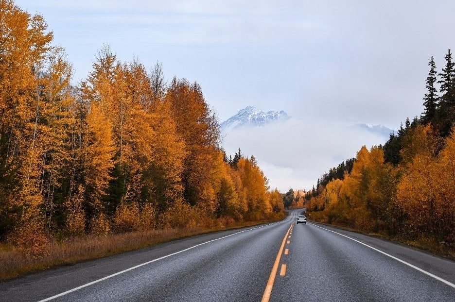 highway with fall-colored trees
