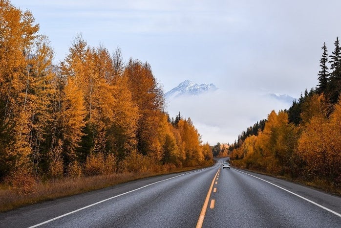 highway with fall-colored trees