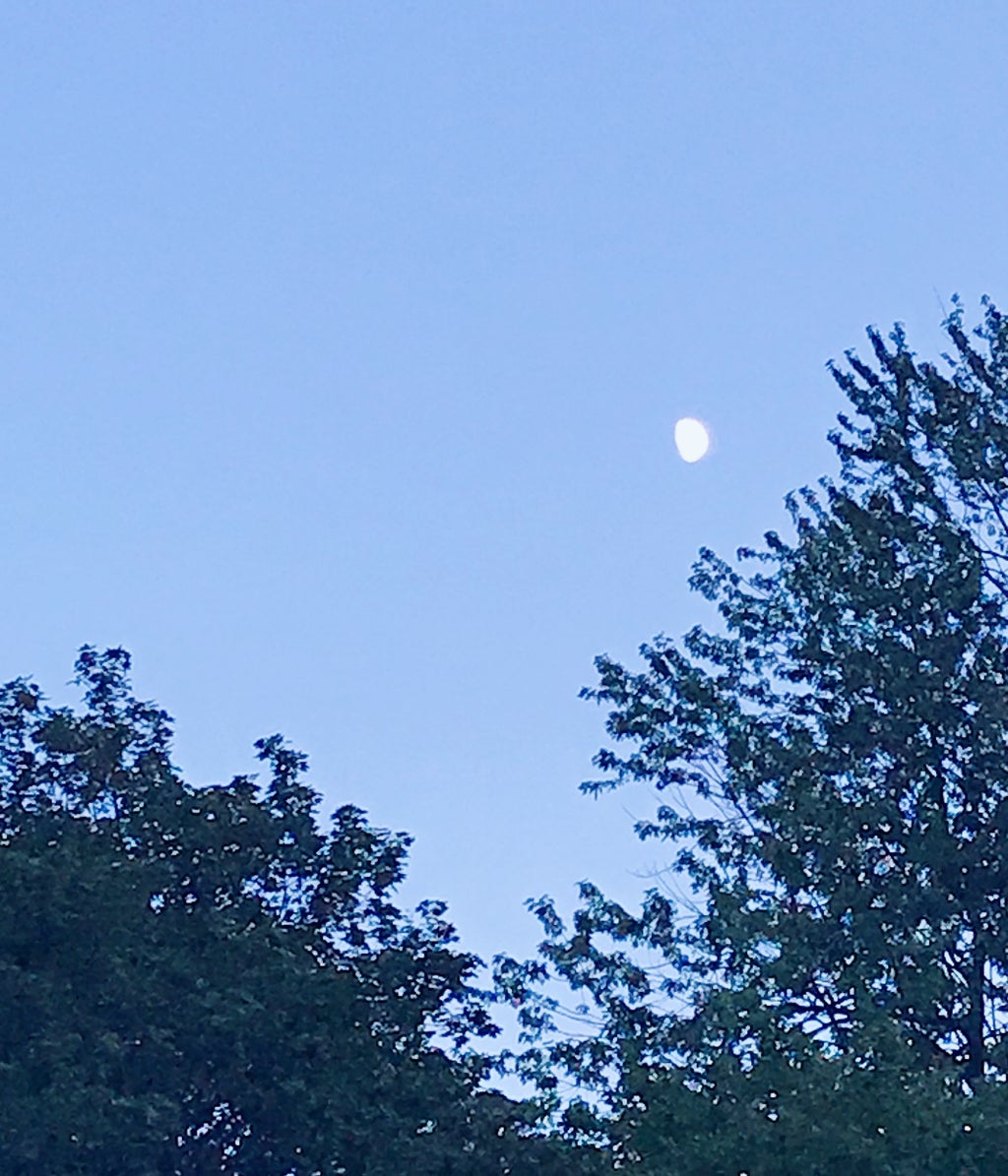 Moonlit Sky