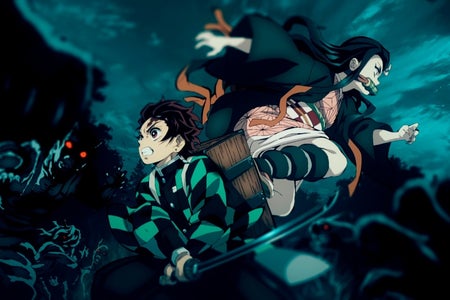 Tanjiro and Nezuko from Demon Slayer