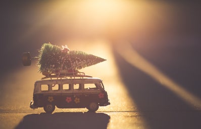 Christmas tree on mini bus