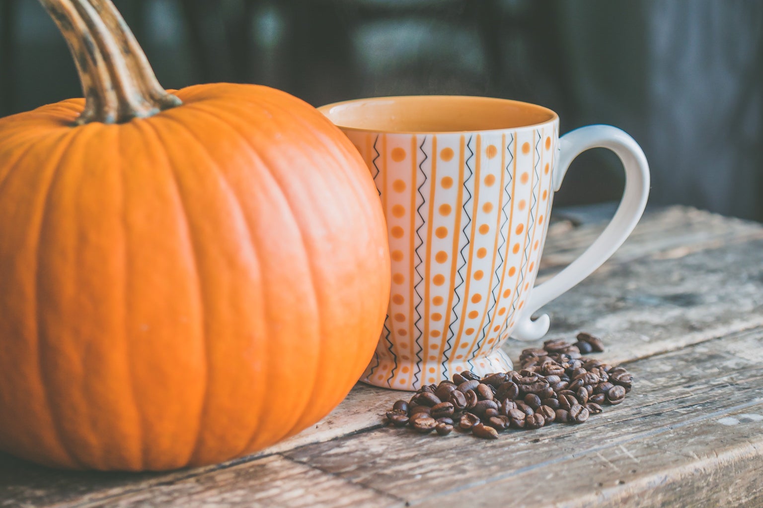 pumpkin and mug with coffee grounds