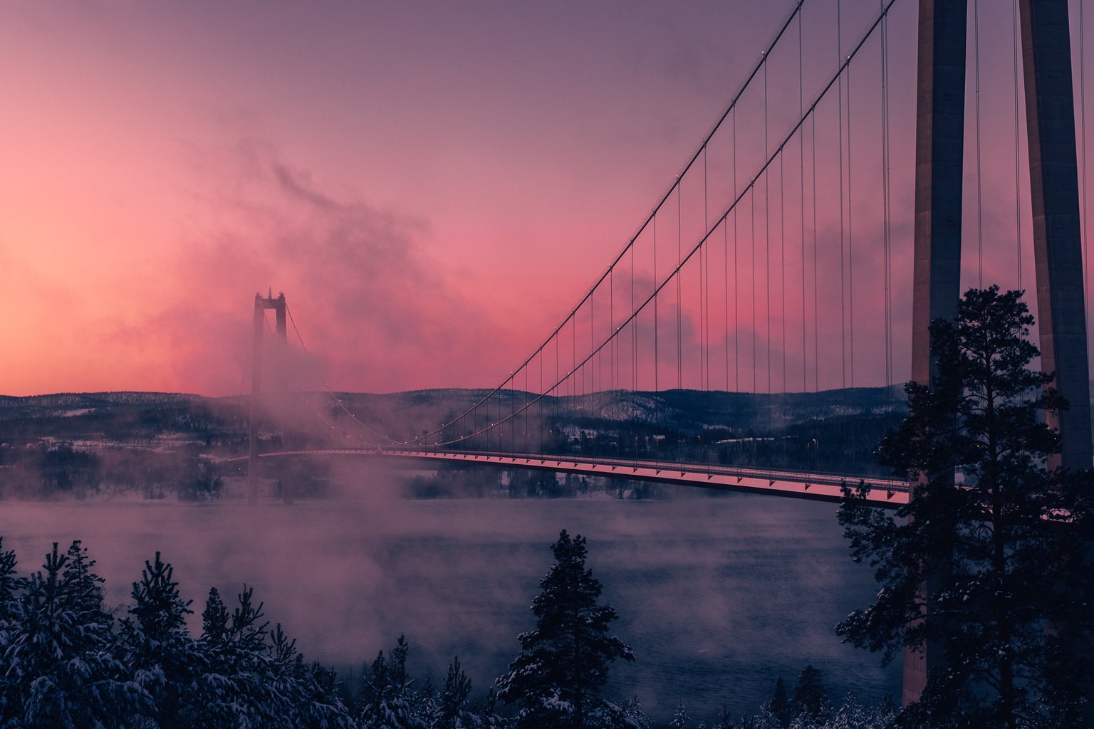 grey full-suspension bridge