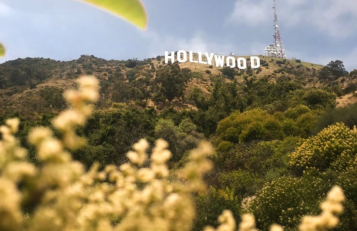 hollywood sign with foliage