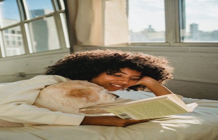 Women reading on bed with dog by Samson Kate?width=719&height=464&fit=crop&auto=webp