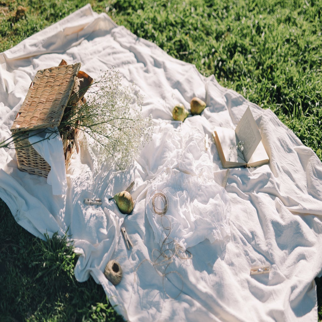 picnic with book and flowers on white blanket in the grass