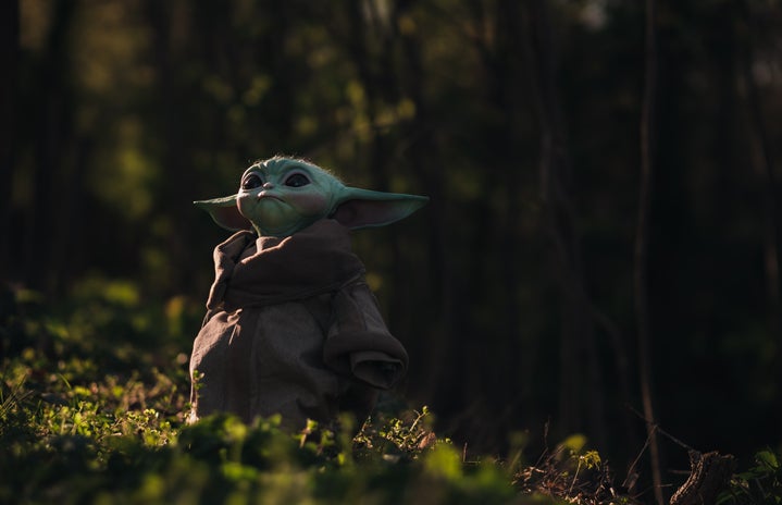 Baby Yoda in the forest
