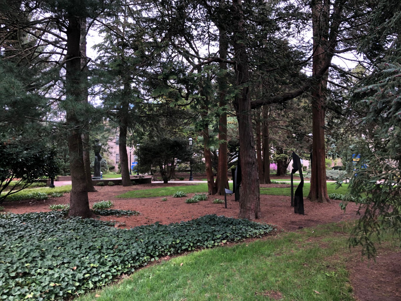 A place that looks like Narnia on Hofstra University's campus.