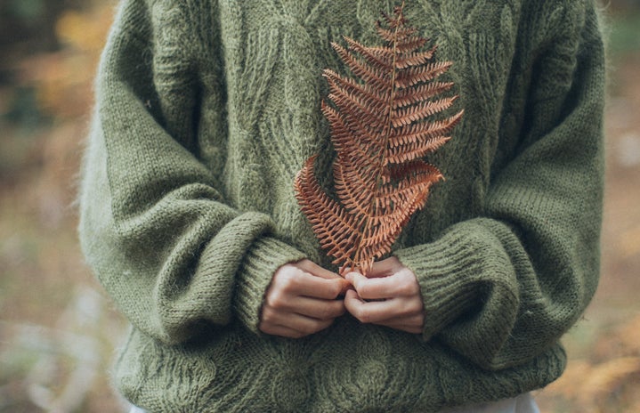 woman in sweater holding leaf by Elina Sazonova?width=719&height=464&fit=crop&auto=webp