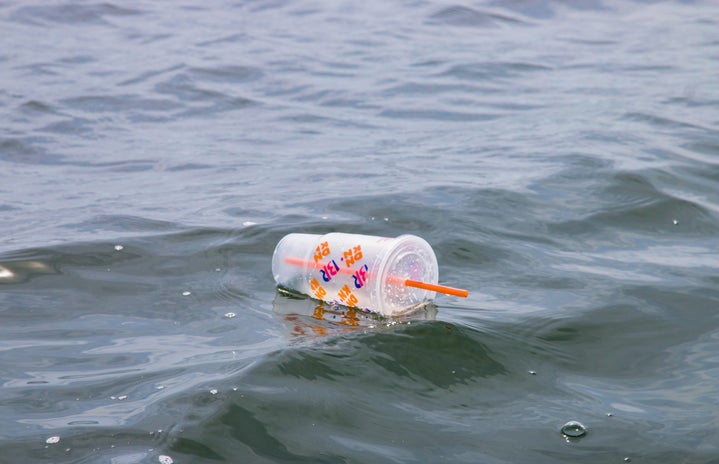 plastic cup floating in water